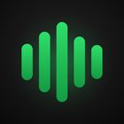 spotatui icon