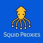 Squid Proxies icon
