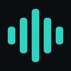 StemConsole icon
