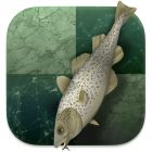 Stockfish icon