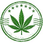 Strain Passport icon