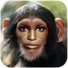 StyloM icon