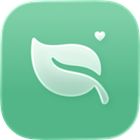 Succulent icon