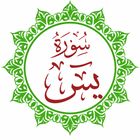 Surah Yaseen Quick Access icon