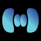 SYNCT icon