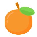 Tangerine Player icon