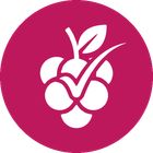 TaskBerry icon