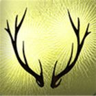 The Endless Forest icon