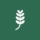 Thymelist icon