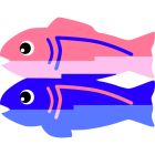 Tokimeki Unfollow icon