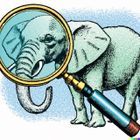 Tootfinder icon