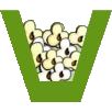 Popcorn Cab icon