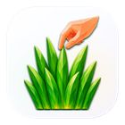 TouchGrassBar icon
