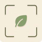 ToxFree icon
