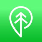 Treebal icon