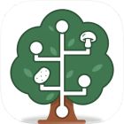 Treecipes icon