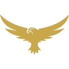 Valkyrie icon