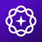 Vanish Private AI icon