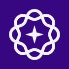 Vanish Private AI icon