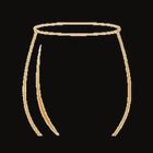 VaultSomm icon