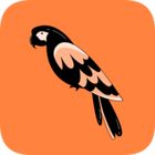 Verbi icon