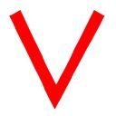VeriPN Openvpn client for windows icon