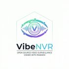 VibeNVR icon