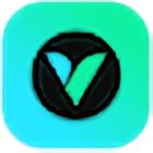 VidScout icon