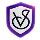 VidSentry icon