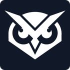 Visual Sentinel icon