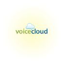 voicecloud icon