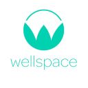 Wellspace icon