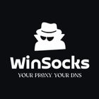 WinSocks icon
