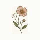 WishBloom icon