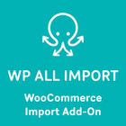 WP ALL IMPORT  icon