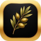 Zayit icon