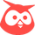 Hootsuite icon