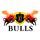 11 Bulls icon
