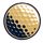AI Golf School icon