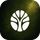 Alder icon