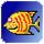 AndroFish icon