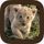Animal Sounds icon
