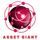 Asset Giant icon