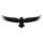 Astur icon