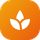 Aurovia icon