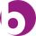 Bella Books icon