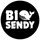 BigSendy icon