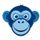 BlueChimp icon