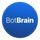 BotBrain icon