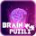 Brain Puzzle icon